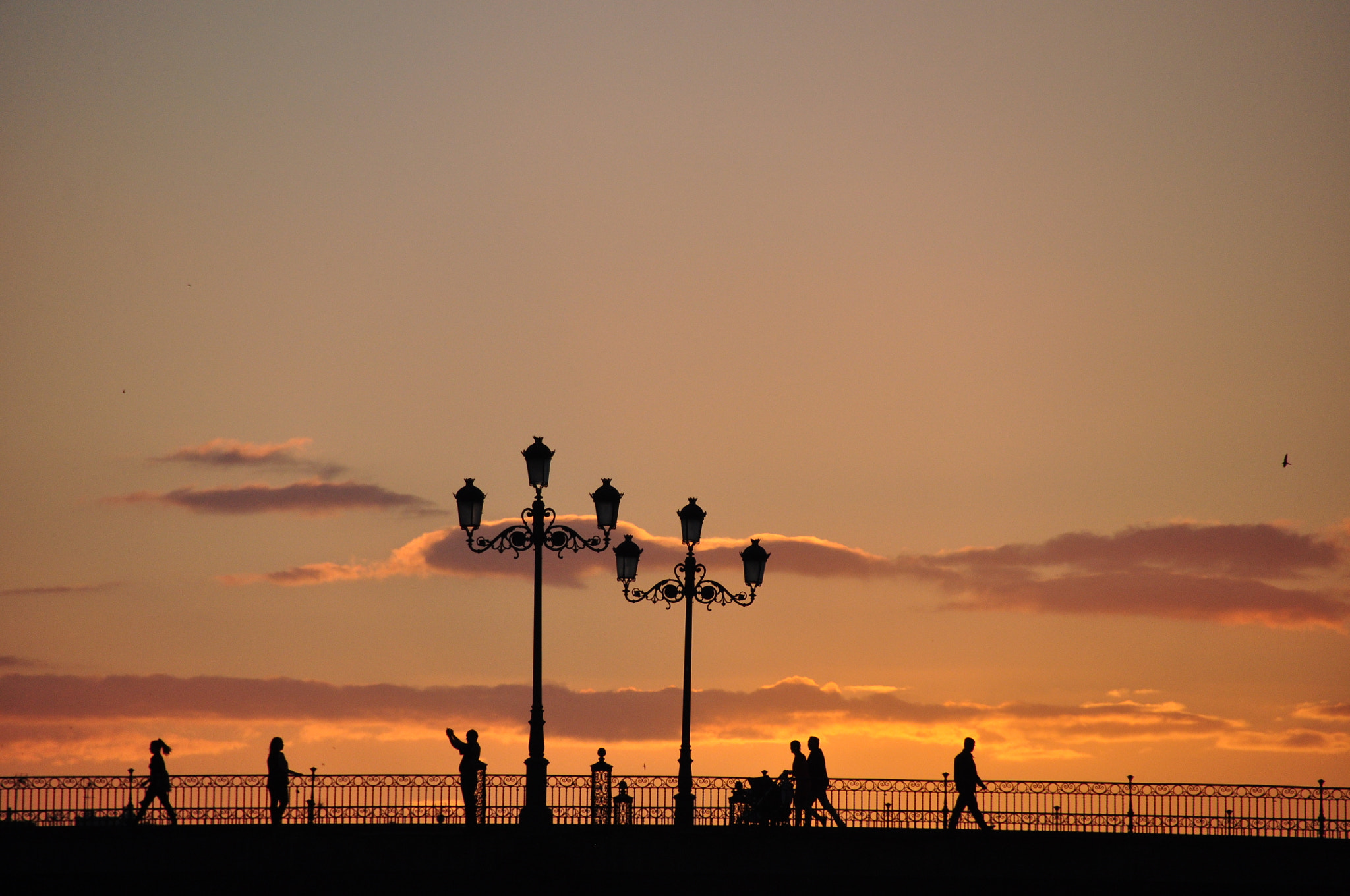 Nikon D90 + Sigma 18-200mm F3.5-6.3 II DC OS HSM sample photo. 影人間 01 photography