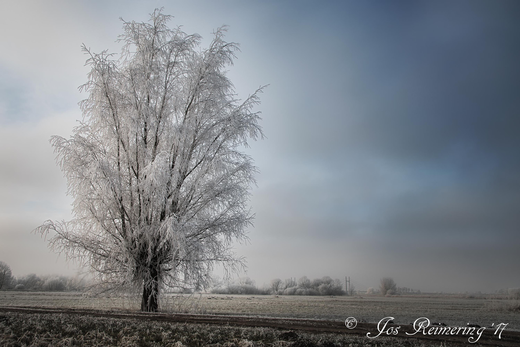 Sigma 17-50mm F2.8 EX DC OS HSM sample photo. Ice tree photography
