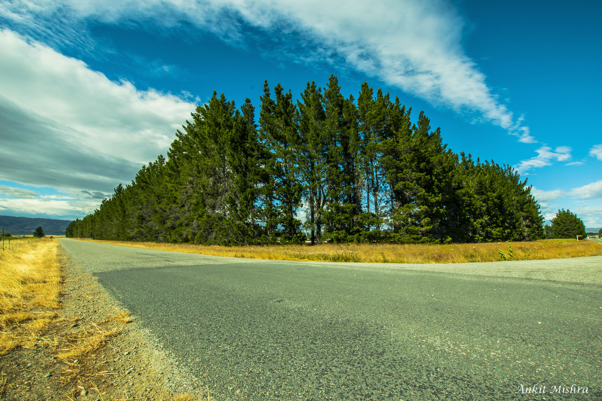 Nikon D5500 + Sigma 10-20mm F3.5 EX DC HSM sample photo. Guarding trees!! photography