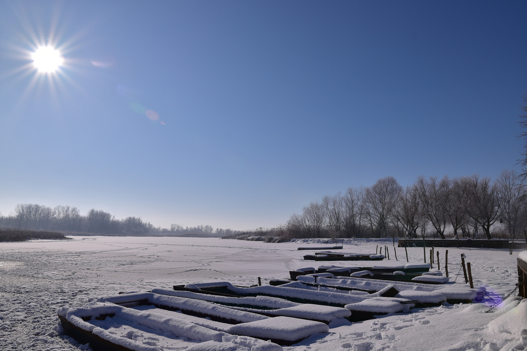 Nikon D750 + Sigma 18-35mm F1.8 DC HSM Art sample photo