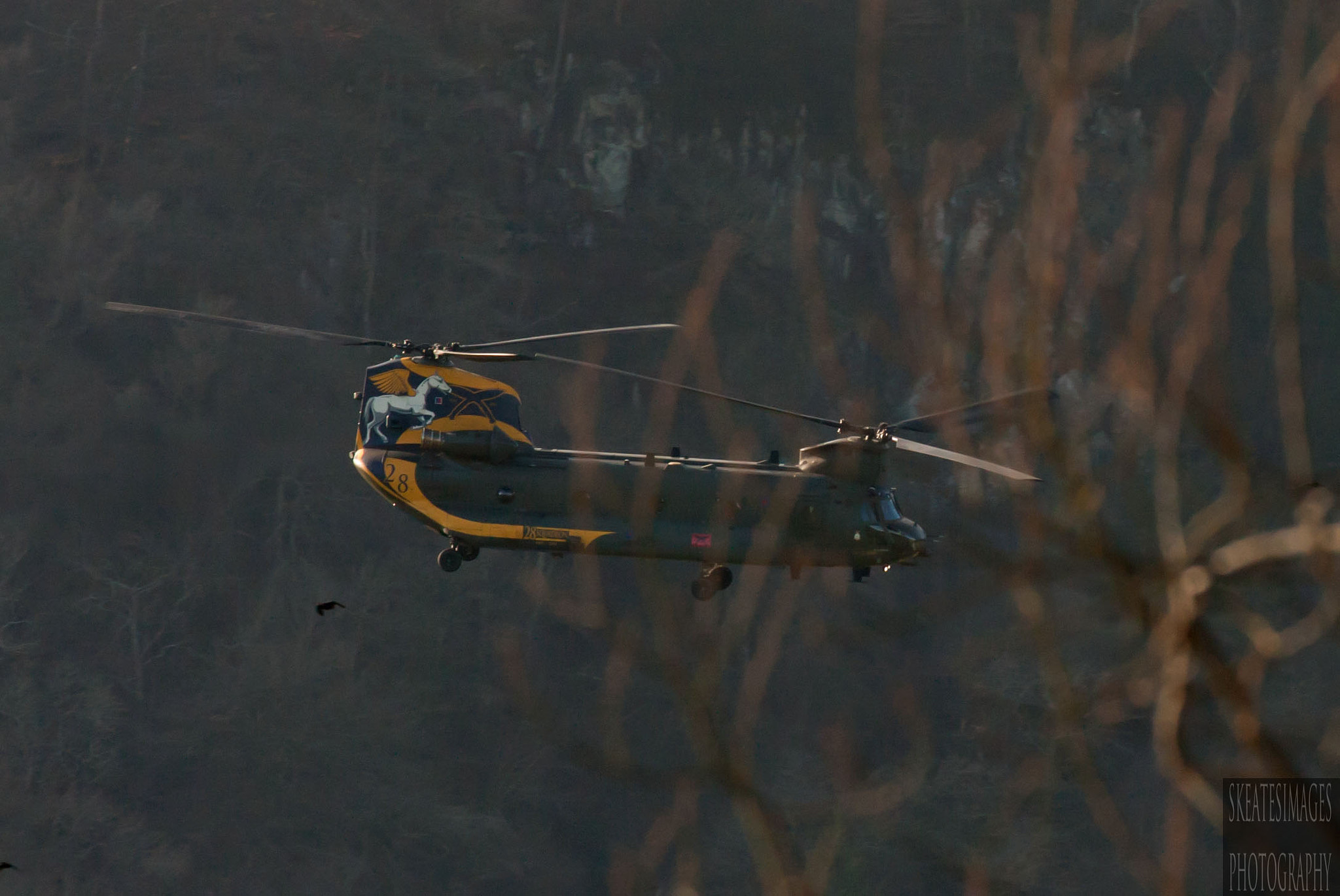 Canon EOS 40D + Sigma 70-200mm F2.8 EX DG OS HSM sample photo. Chinook special tail photography