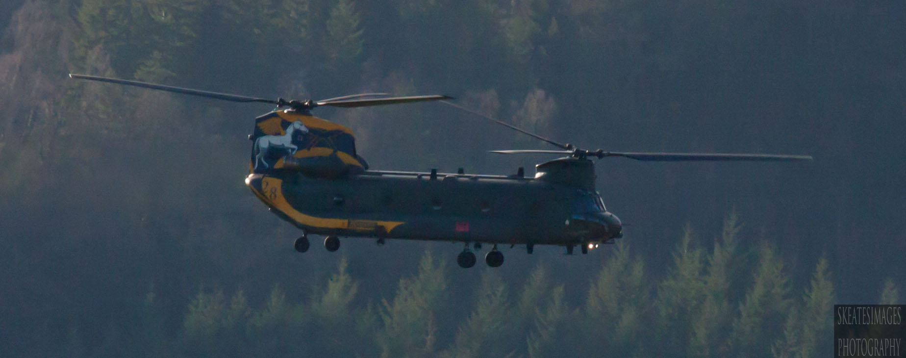 Canon EOS 40D + Sigma 70-200mm F2.8 EX DG OS HSM sample photo. Chinook special tail photography