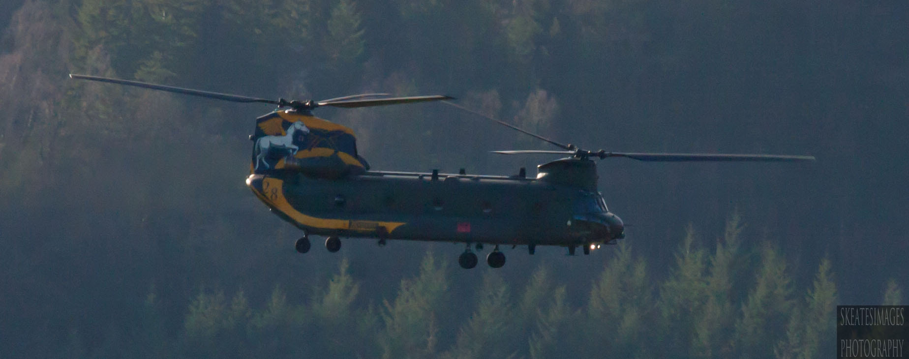 Sigma 70-200mm F2.8 EX DG OS HSM sample photo. Chinook special tail photography