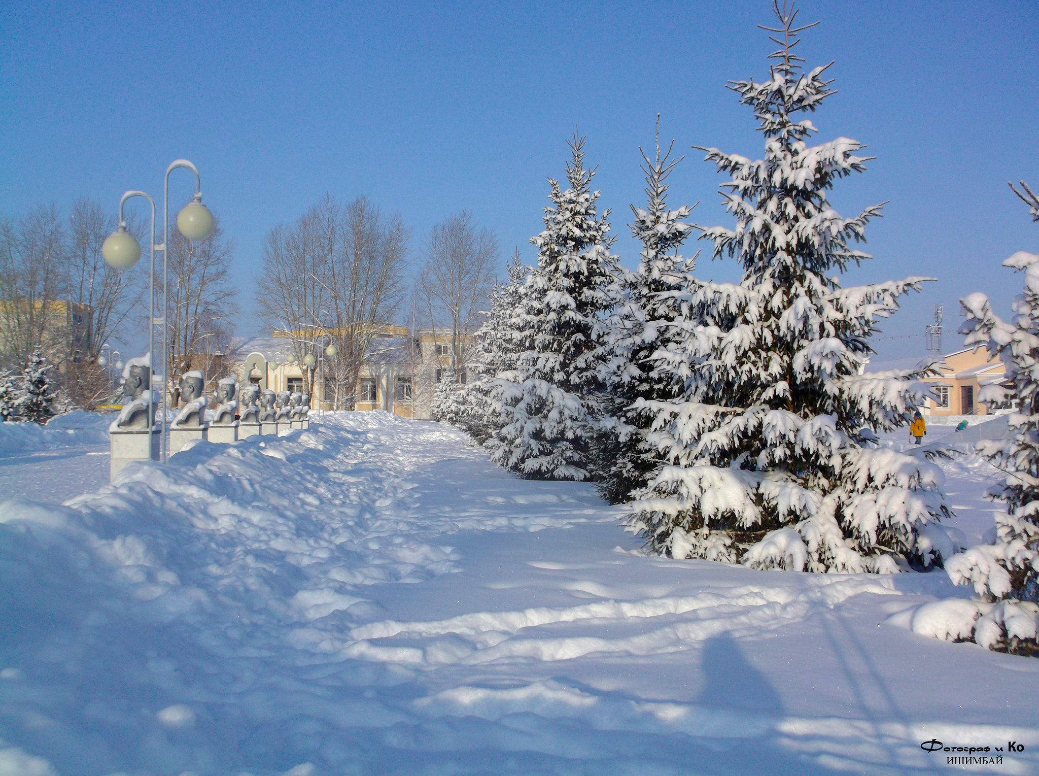 Fujifilm FinePix AX650 sample photo. Winter pines photography