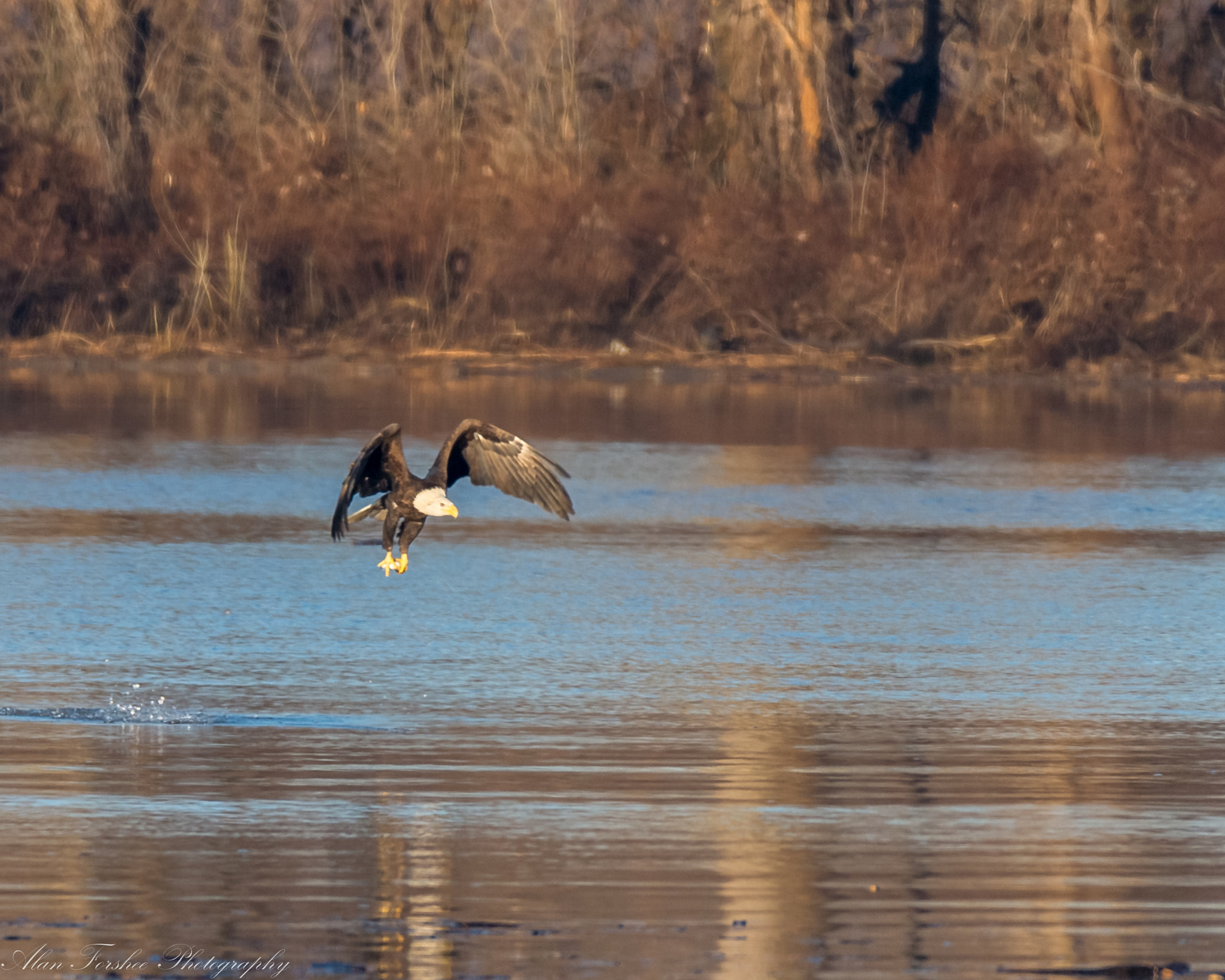 Nikon AF-S Nikkor 200-500mm F5.6E ED VR sample photo. Fishing photography