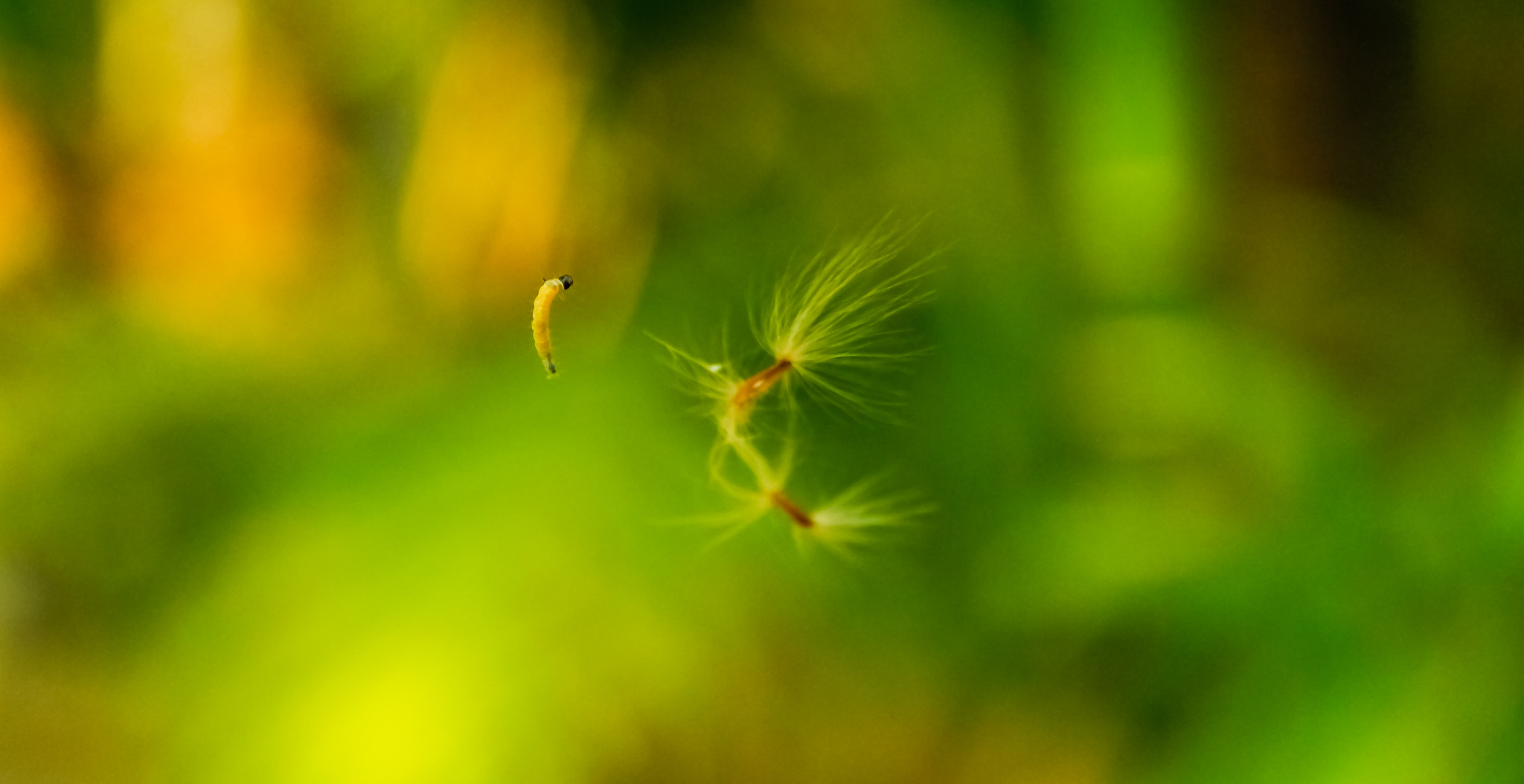 Sigma 17-70mm F2.8-4 DC Macro OS HSM sample photo. 3 can be company photography