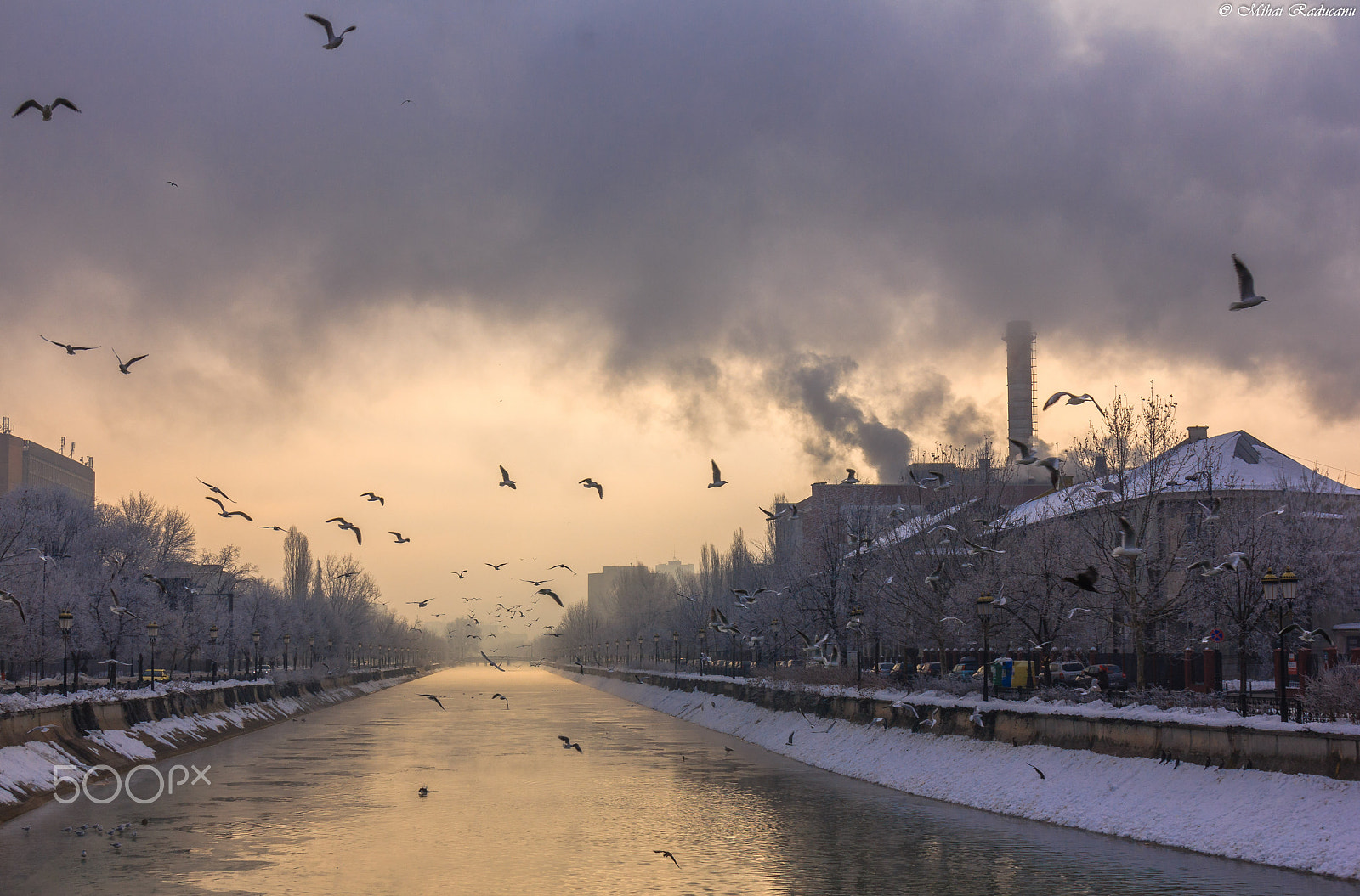 Canon EOS 60D sample photo. Foggy morning! photography