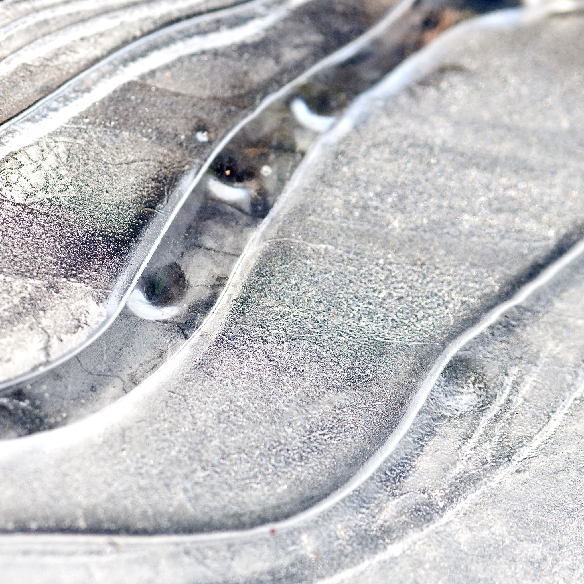 Nikon AF-S Micro-Nikkor 105mm F2.8G IF-ED VR sample photo. Frozen photography