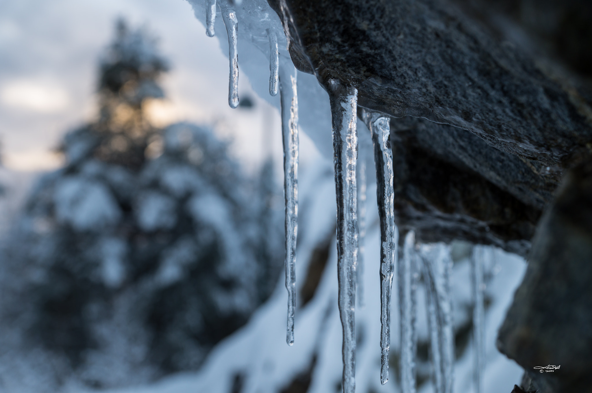 Sony SLT-A57 + Sony DT 16-50mm F2.8 SSM sample photo. Icicles photography