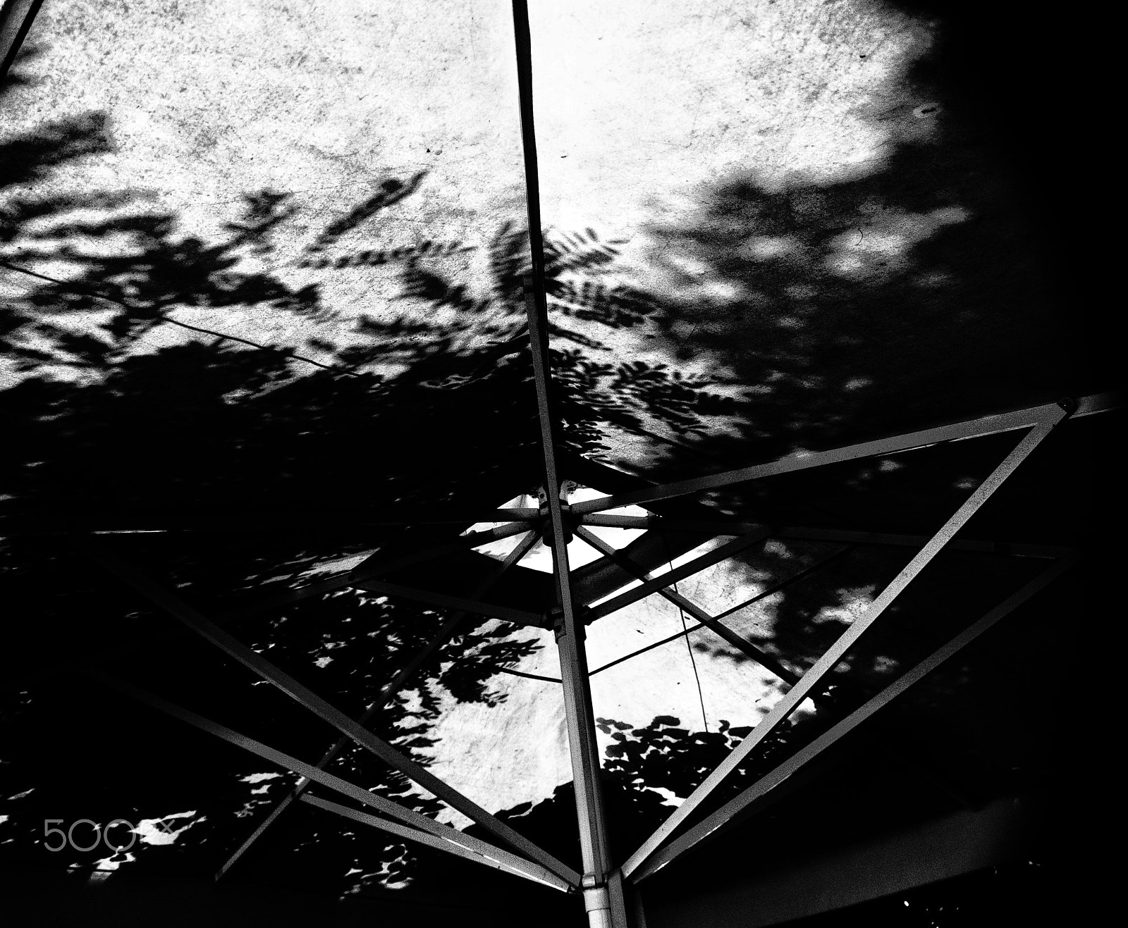 Sony DT 18-250mm F3.5-6.3 sample photo. Under the sun shade photography