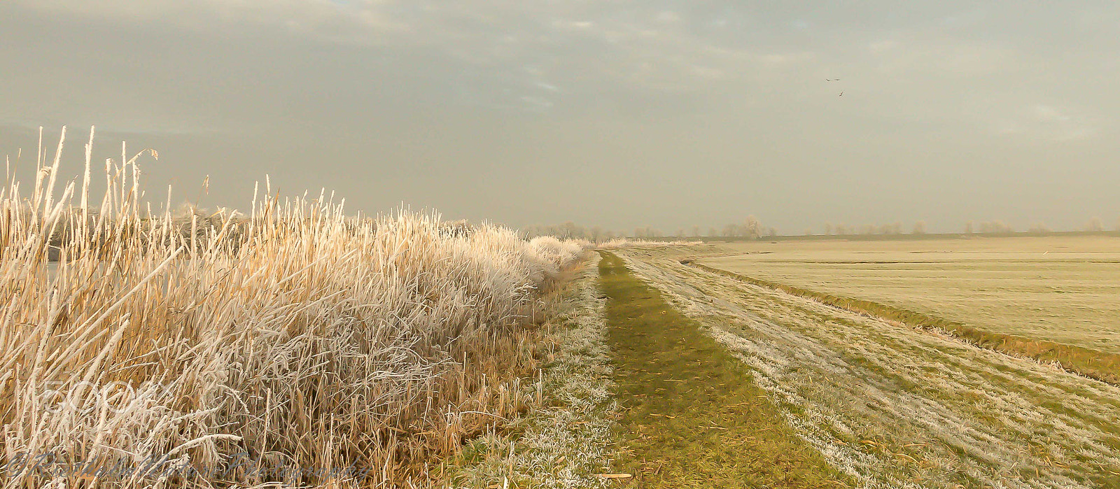 Canon EF-S 17-85mm F4-5.6 IS USM sample photo. Muiderslot winter photography