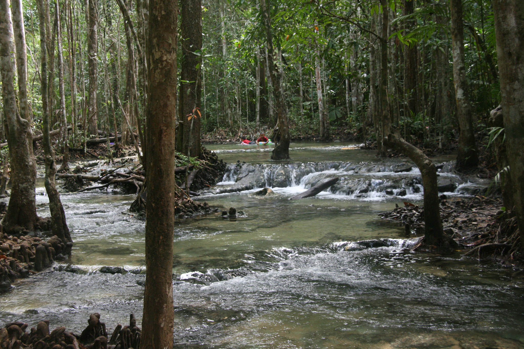Canon EOS 400D (EOS Digital Rebel XTi / EOS Kiss Digital X) sample photo. Emerald pool national park, thailand photography