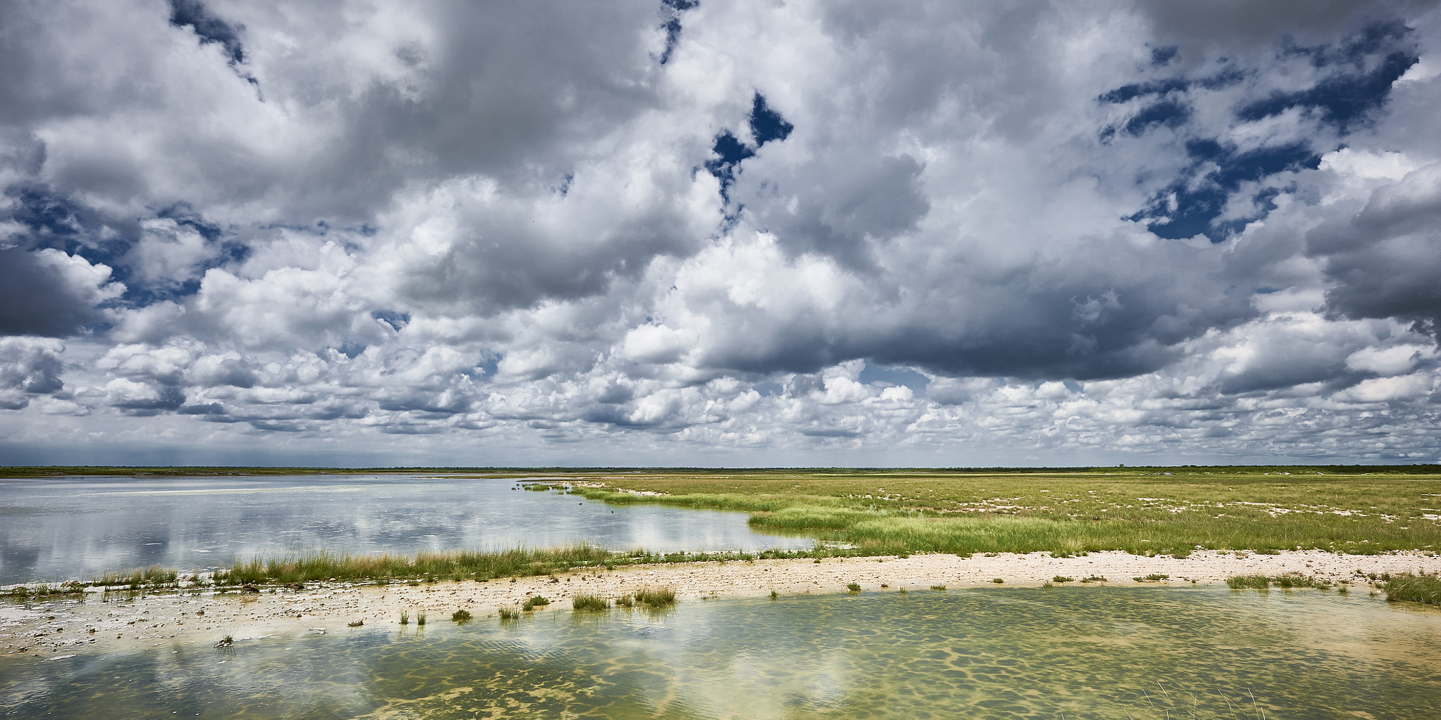 Nikon AF-S Nikkor 14-24mm F2.8G ED sample photo. Etosha national park, namibia photography
