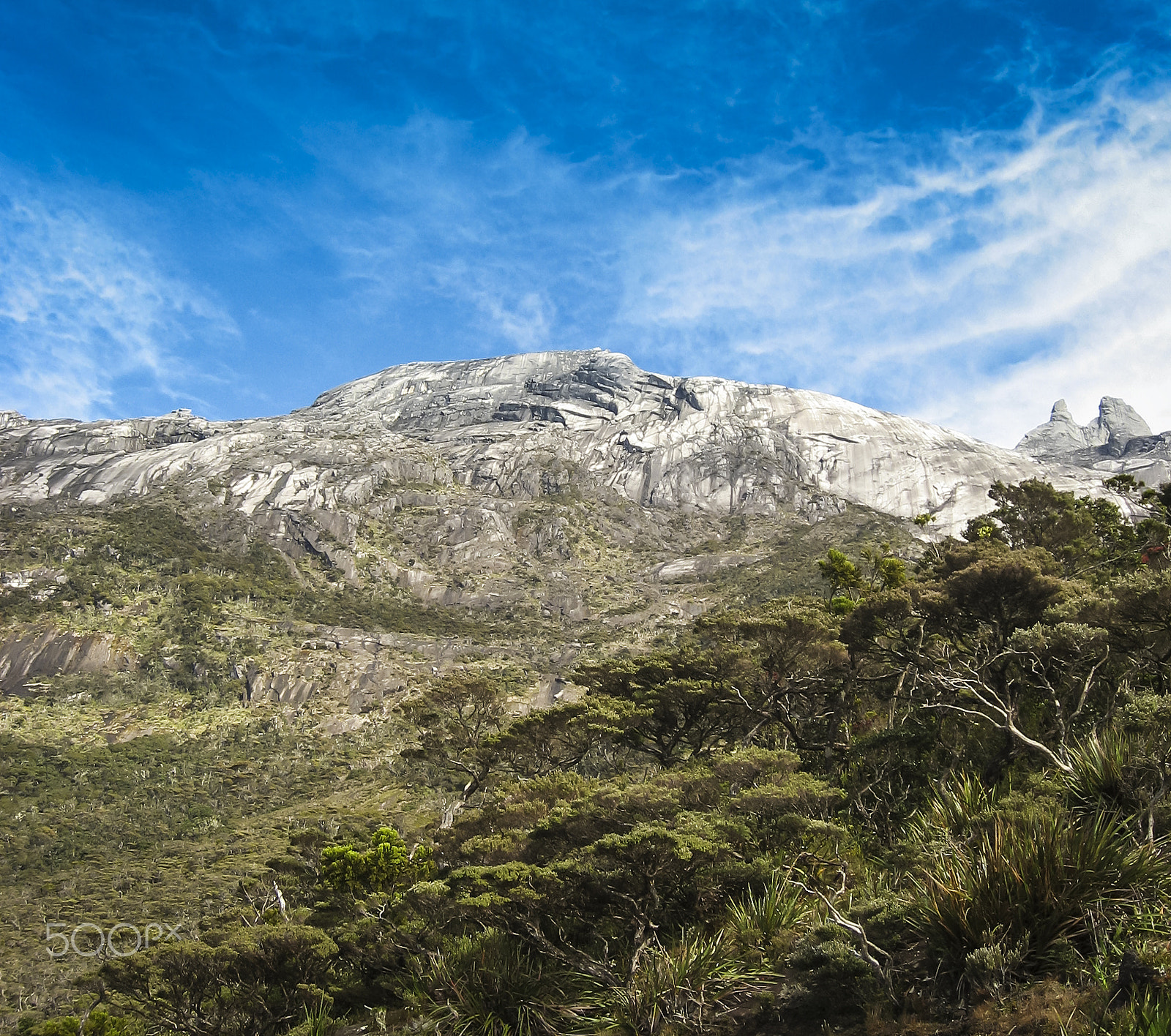 Canon POWERSHOT SD700 IS sample photo. Cloud forests mount kinabalu borneo photography