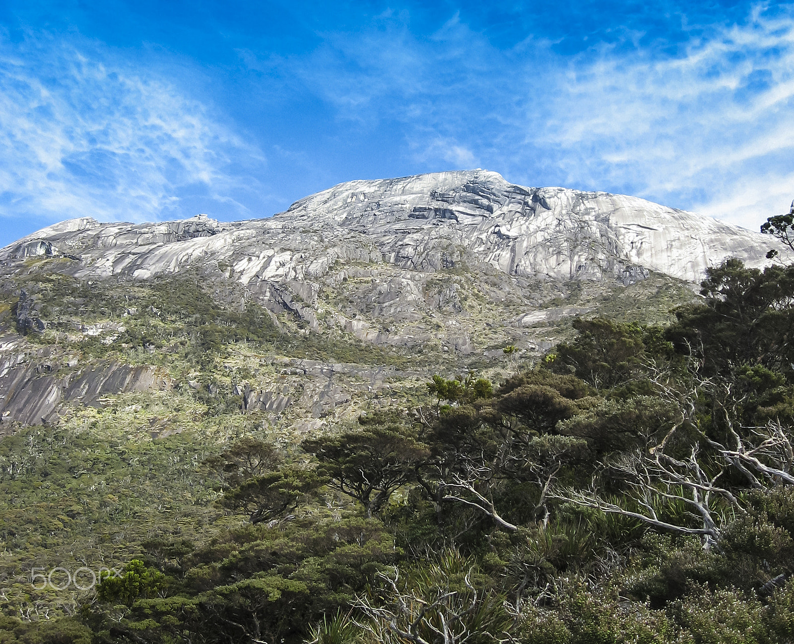 Canon POWERSHOT SD700 IS sample photo. Cloud forests mount kinabalu borneo photography