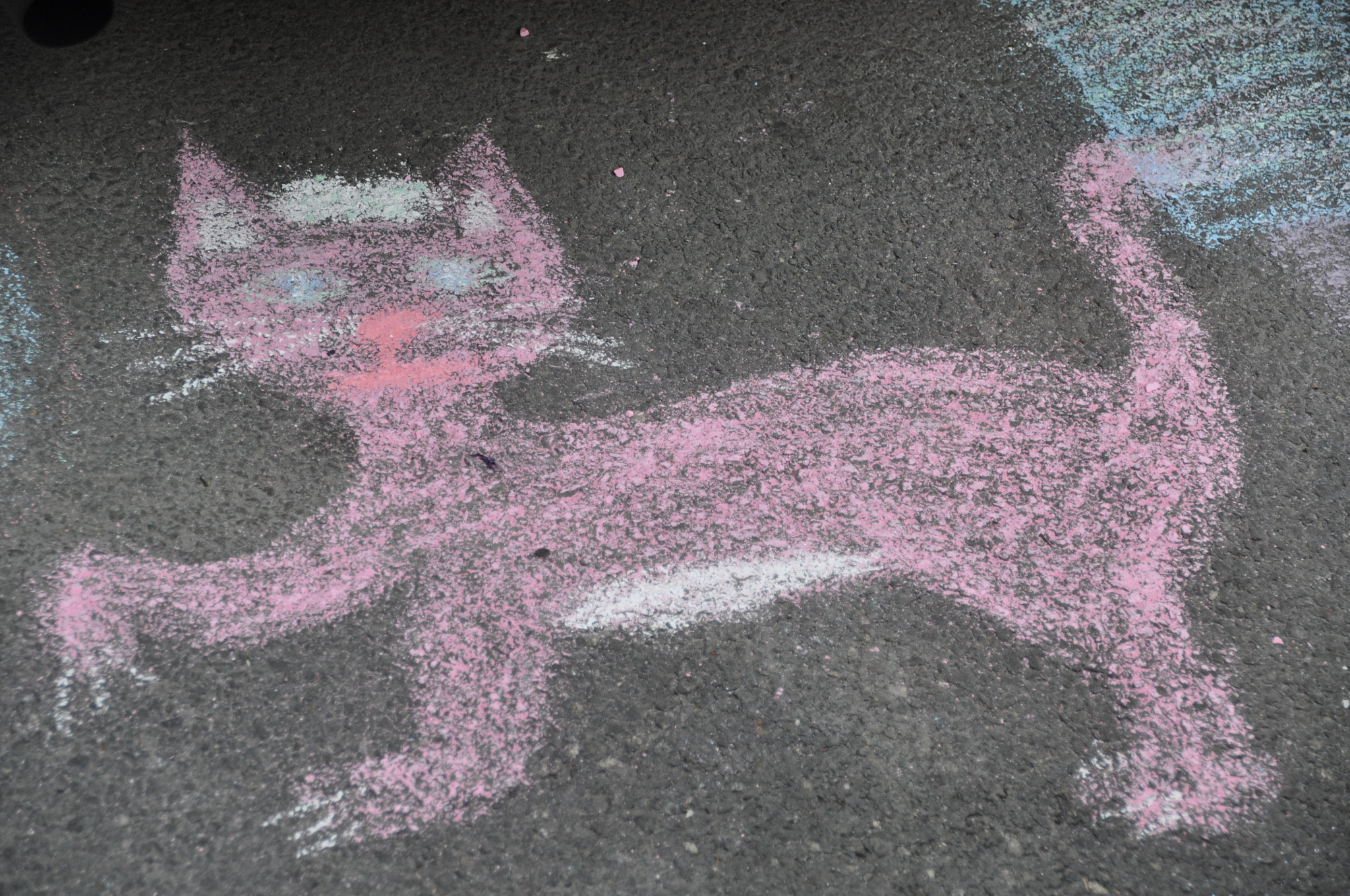 Sigma 18-200mm F3.5-6.3 II DC OS HSM sample photo. ピンクの猫 photography