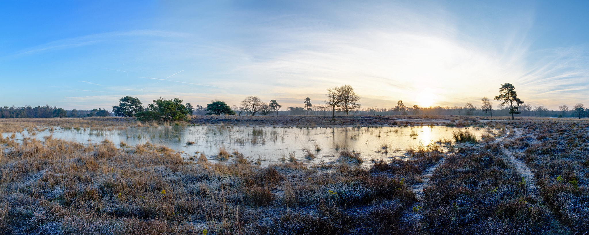 Nikon D810 + Nikon AF-S Nikkor 28mm F1.8G sample photo. Leersumse veld - netherlands photography