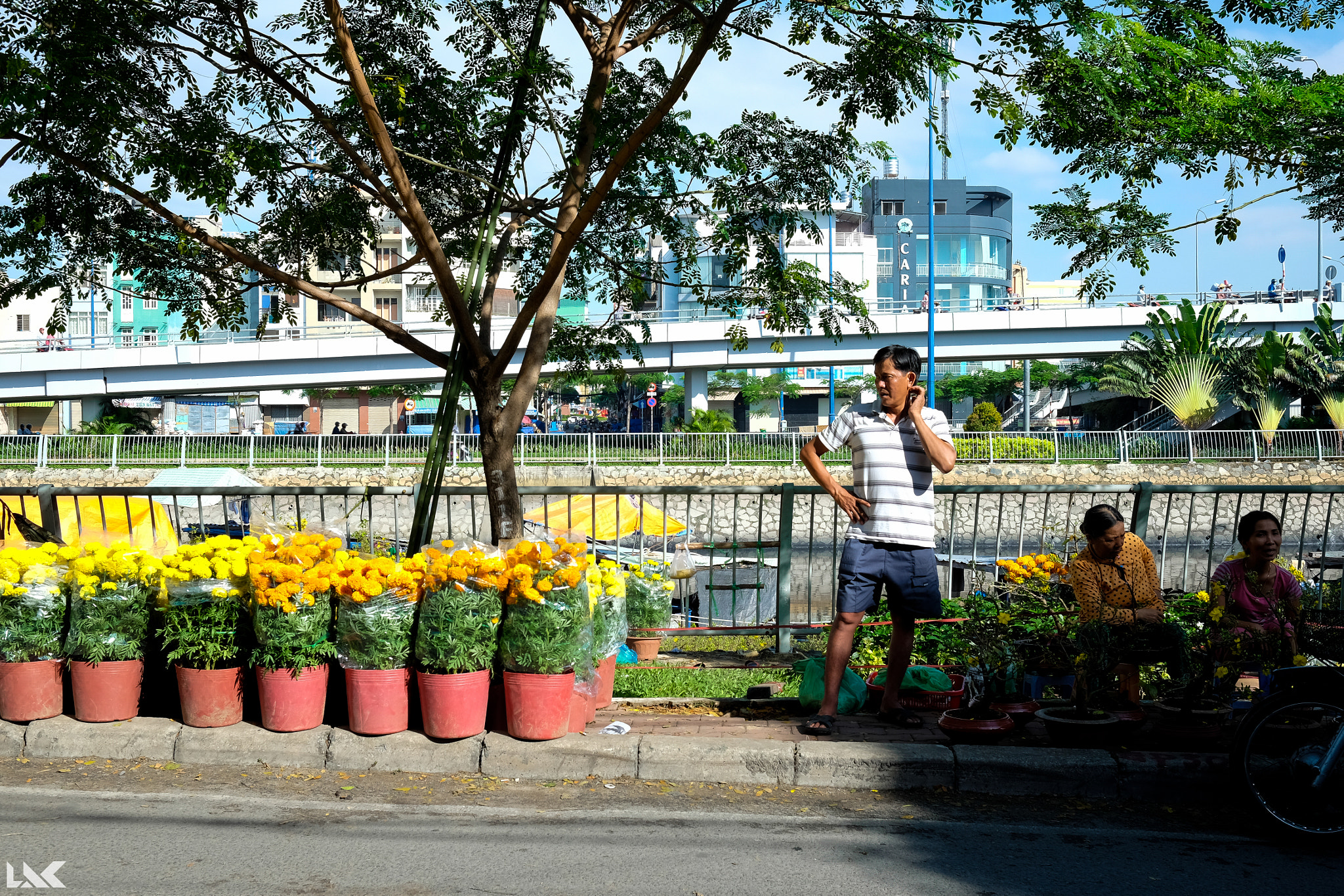 Fujifilm X-T10 + Fujifilm XF 23mm F1.4 R sample photo. Chợ hoa bến bình Đông sáng 29 tết [26.01.2017] photography