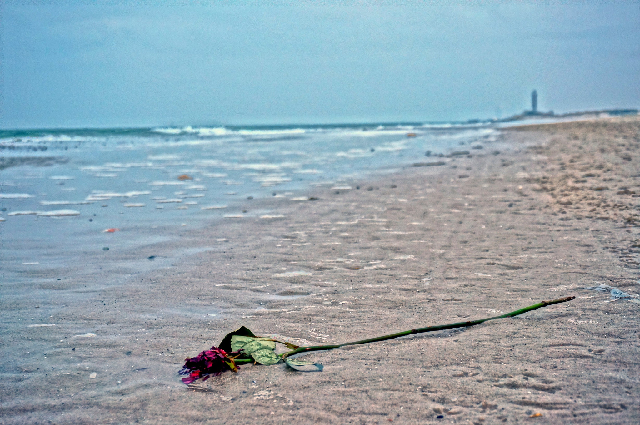 Sony Alpha NEX-6 sample photo. End of a proposal photography