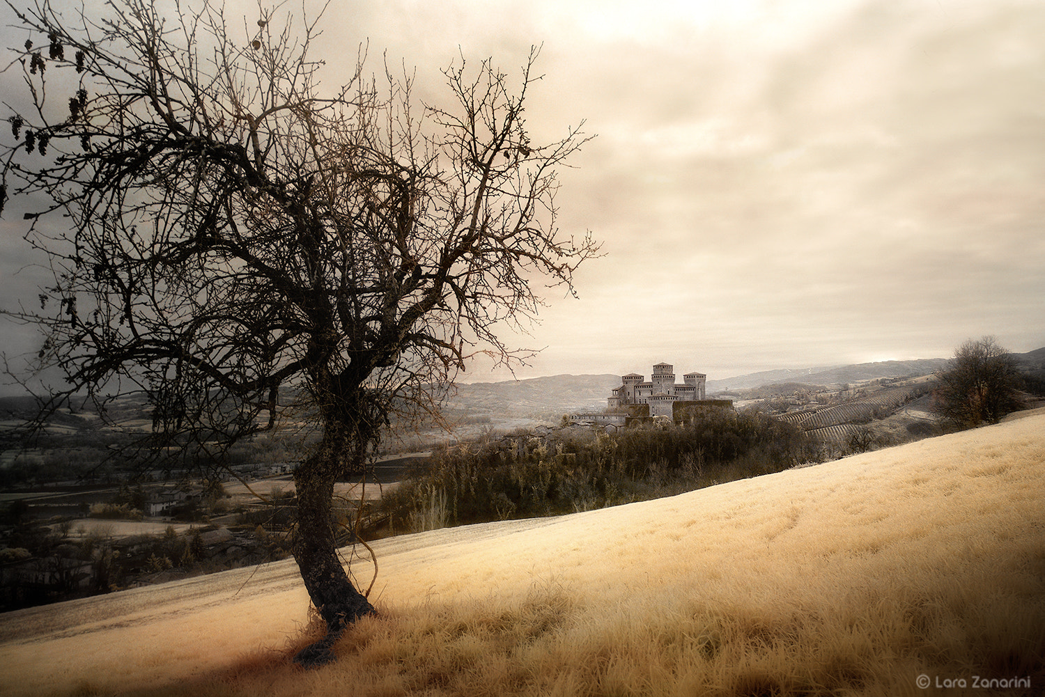 Nikon AF-S Nikkor 14-24mm F2.8G ED sample photo. Castello di torrechiara... photography