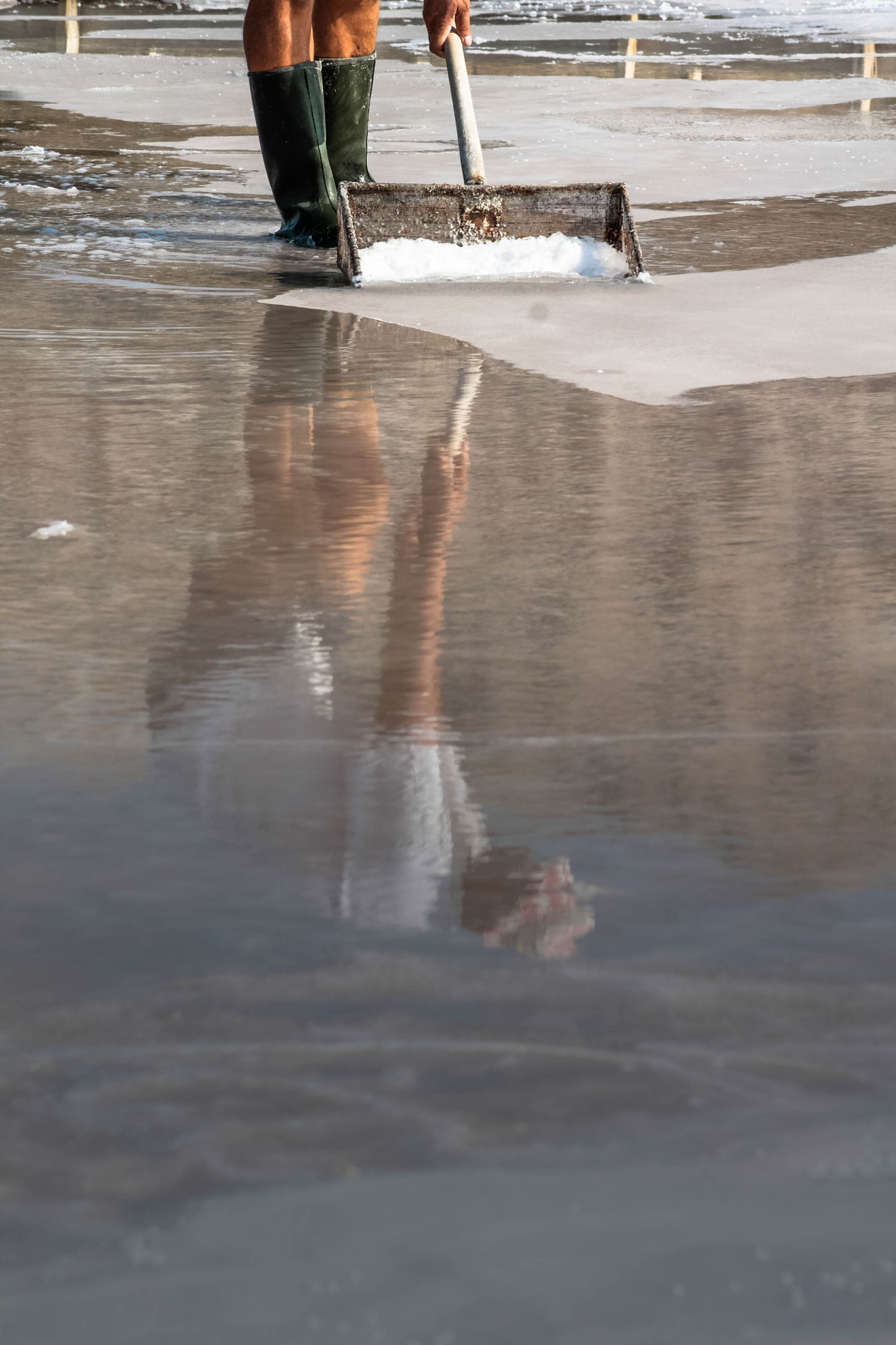Canon EF 75-300mm f/4-5.6 USM sample photo. White reflection photography