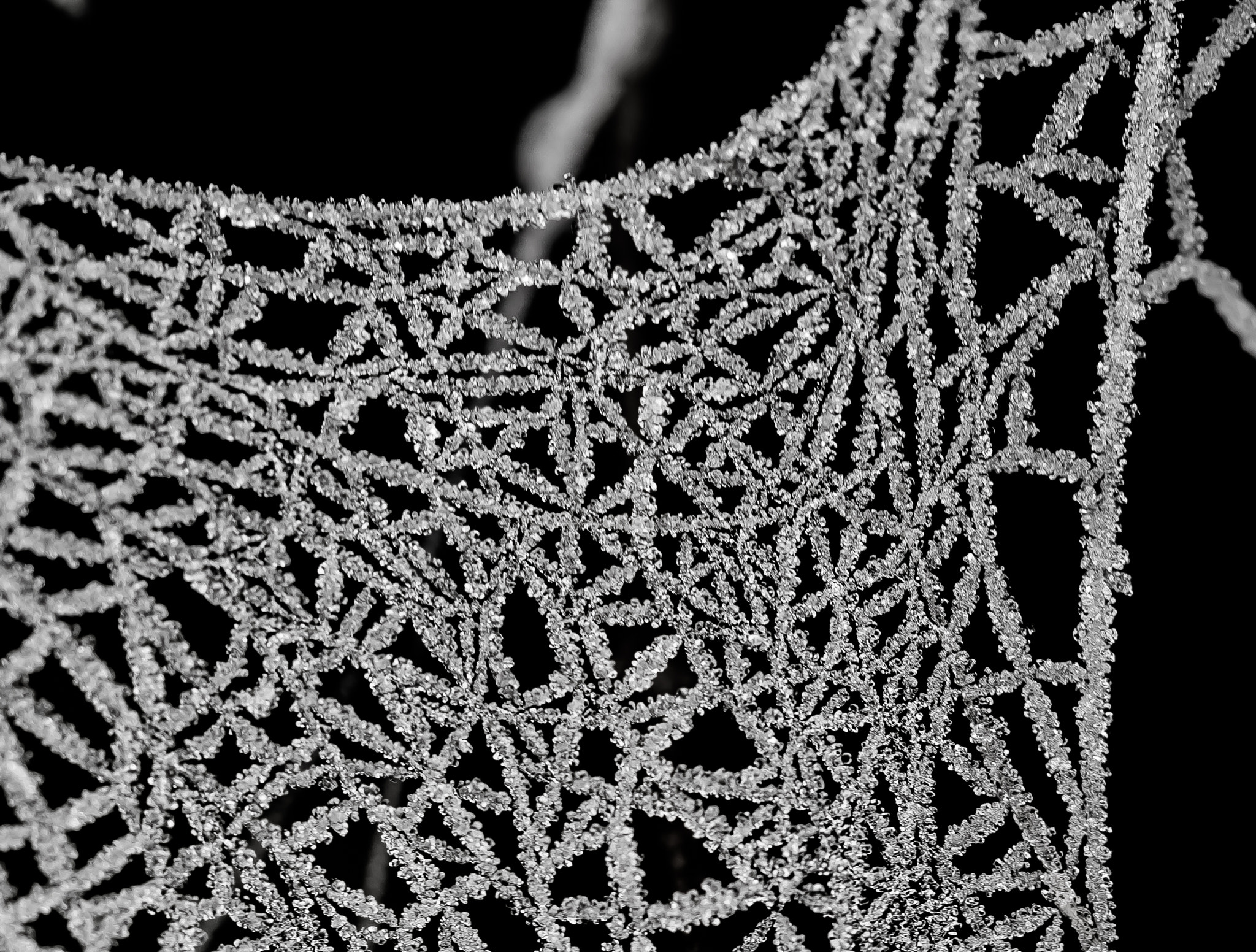 Panasonic Lumix DMC-GM1 sample photo. Spider jewellery photography