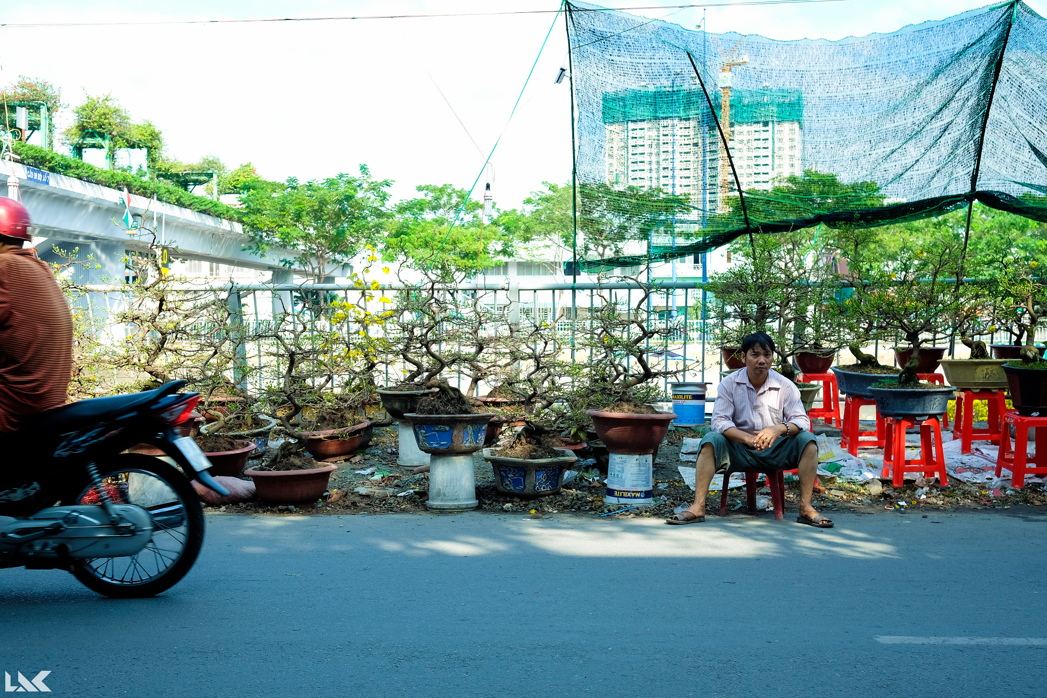 Fujifilm X-T10 + Fujifilm XF 23mm F1.4 R sample photo. Chợ hoa bến bình Đông sáng 29 tết [26.01.2017] photography