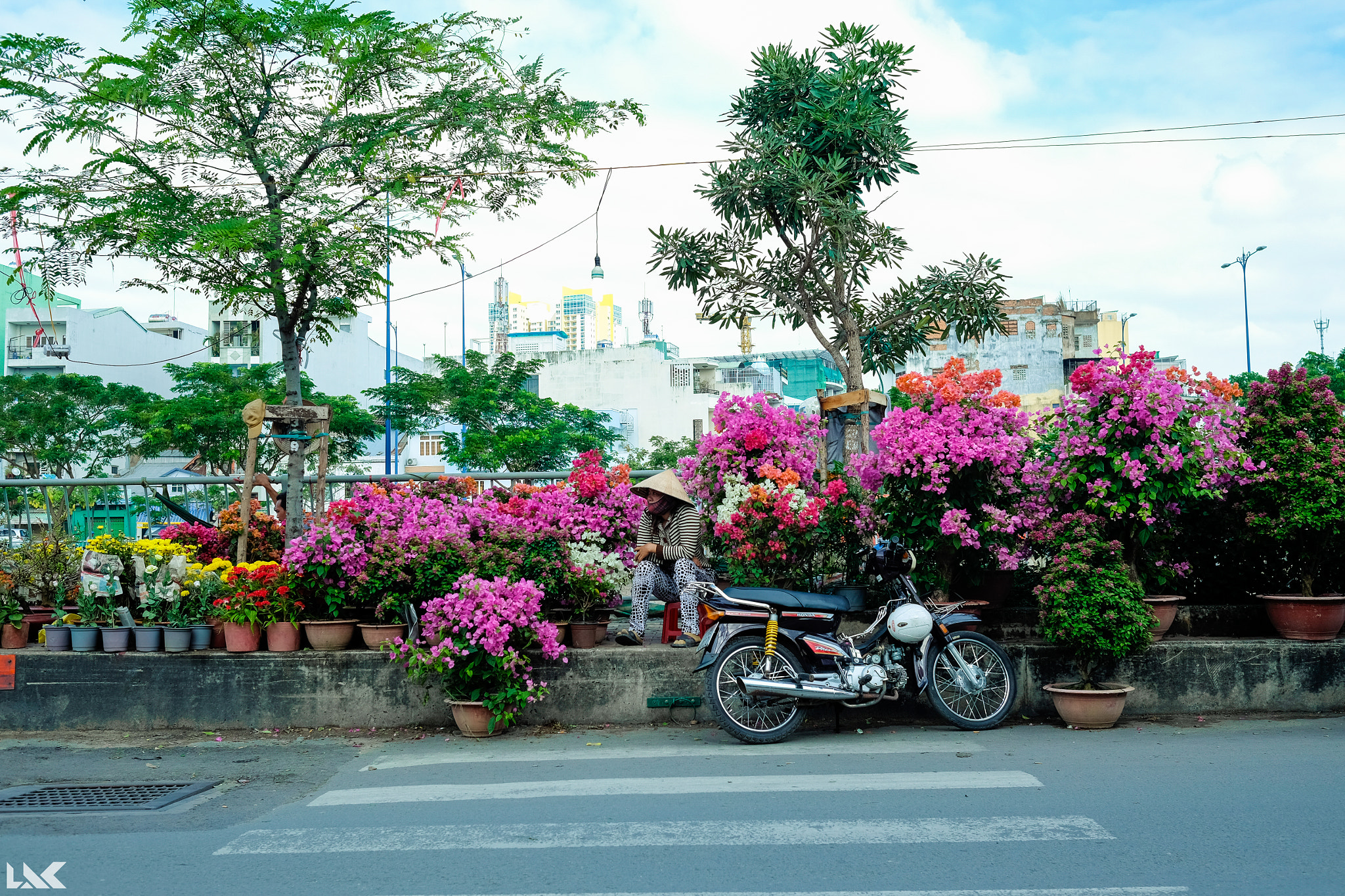 Fujifilm X-T10 + Fujifilm XF 23mm F1.4 R sample photo. Chợ hoa bến bình Đông sáng 29 tết [26.01.2017] photography