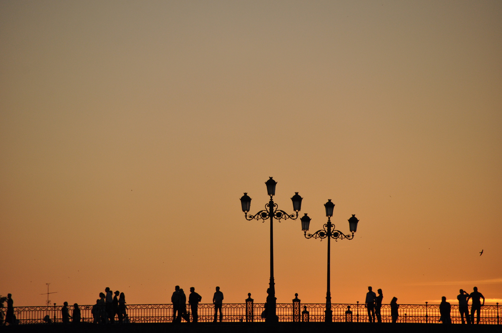 Sigma 18-200mm F3.5-6.3 II DC OS HSM sample photo. 影人間 04 photography