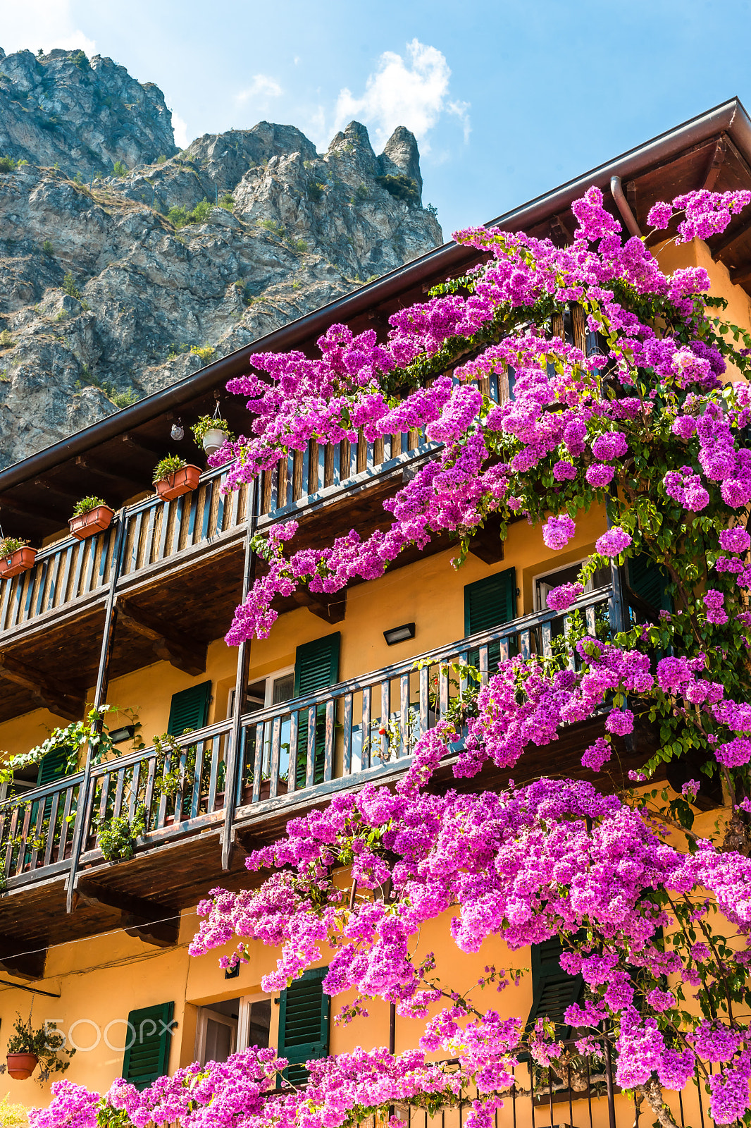 Sony Alpha DSLR-A900 sample photo. Bougainvillea flowers at sirmione lake garda italy, photography