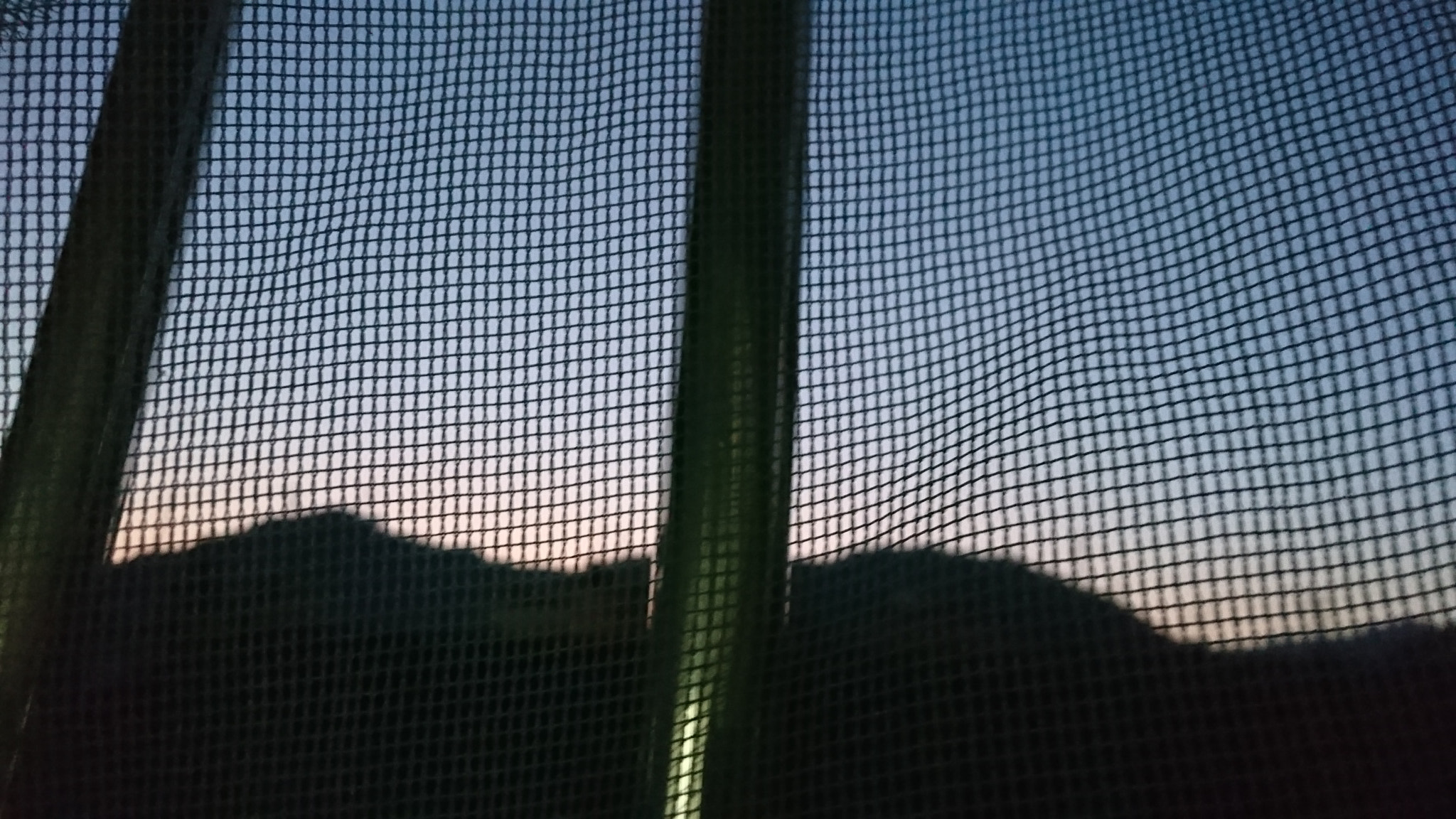 Sony Xperia Z3+ sample photo