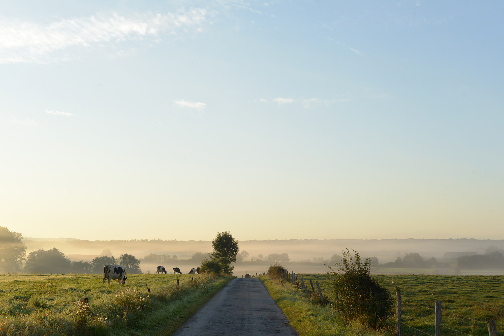 Nikon D800E + Nikon AF Nikkor 50mm F1.4D sample photo. Early morning photography