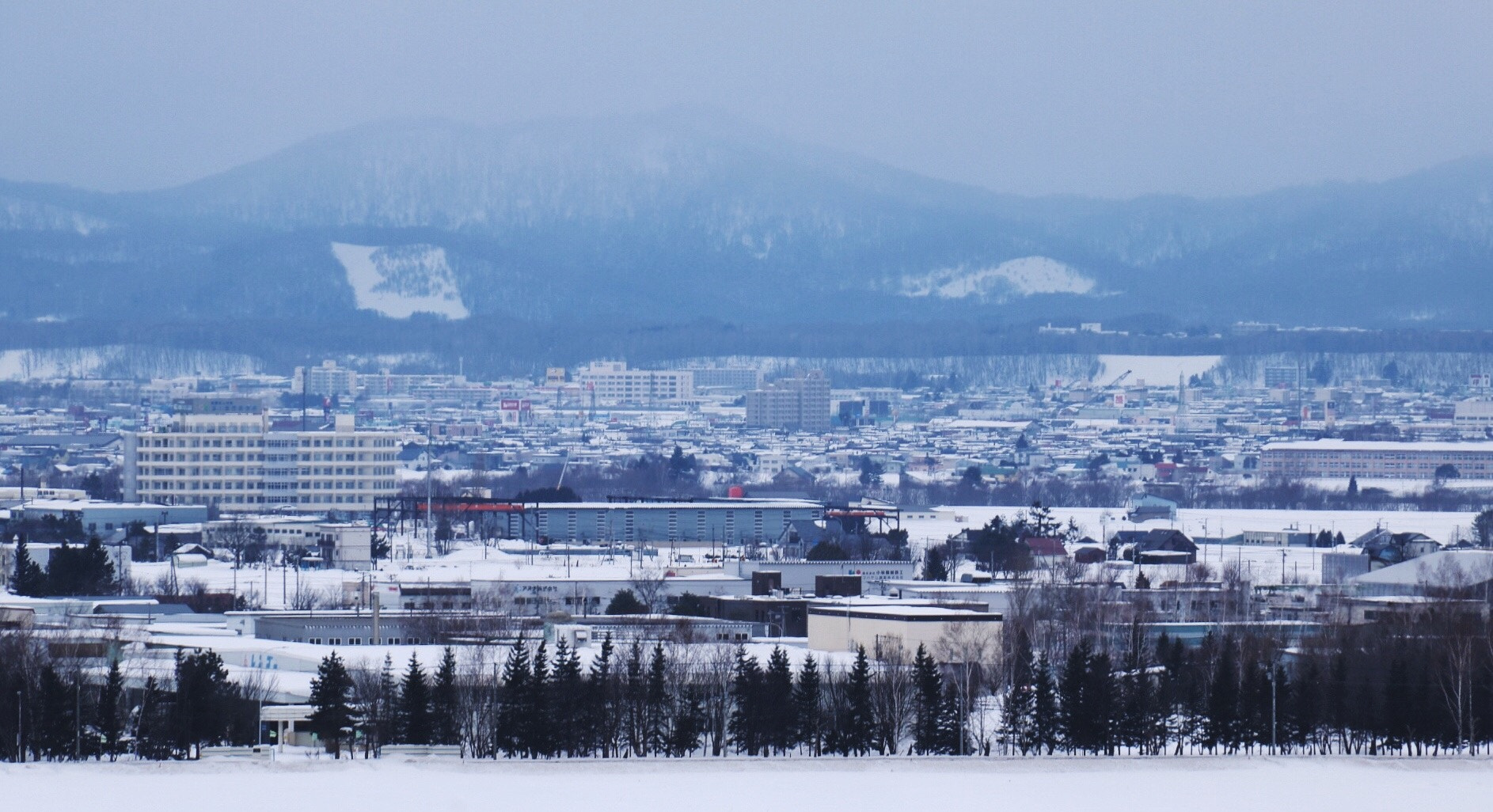 Canon EOS 760D (EOS Rebel T6s / EOS 8000D) sample photo. 旭川动物园 photography