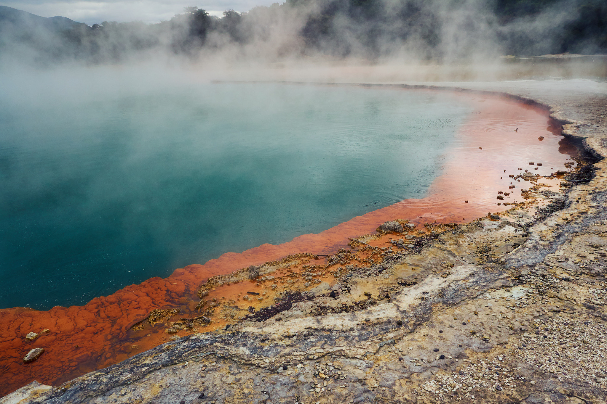 Olympus M.ZUIKO DIGITAL ED 12-40mm 1:2.8 sample photo. Champagne pool i photography
