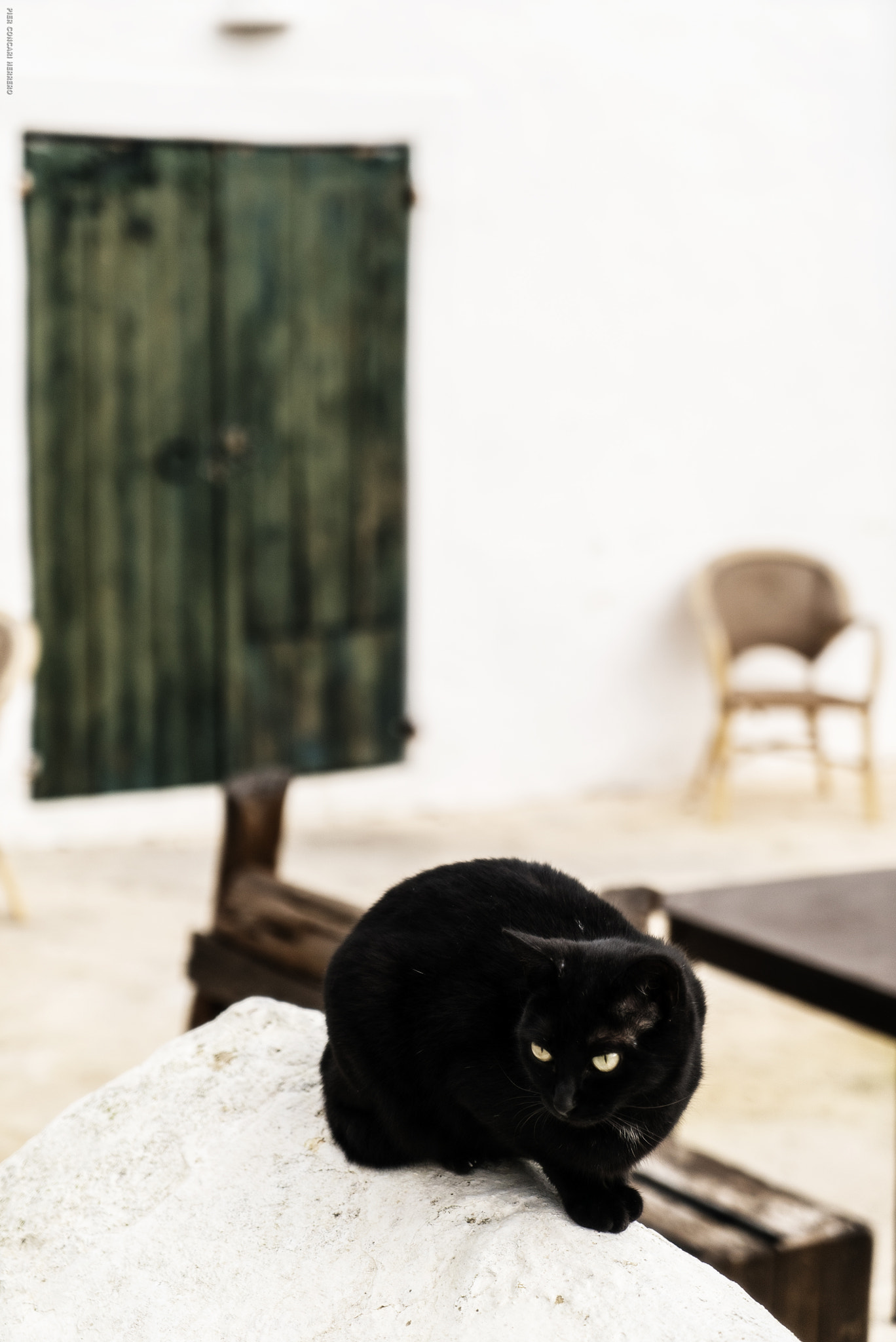 Sony a7S II + Sony Vario Tessar T* FE 24-70mm F4 ZA OSS sample photo. Noir photography
