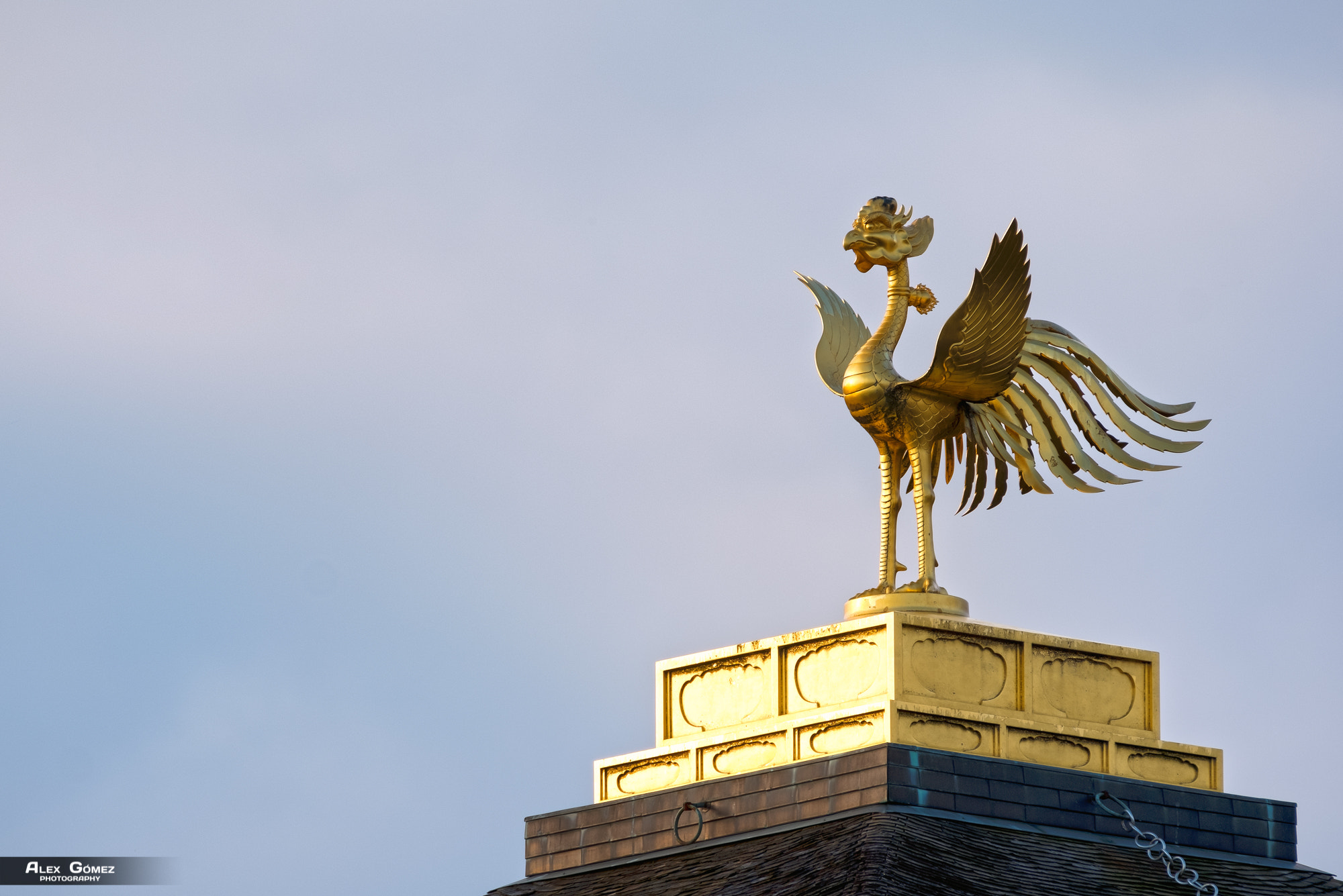 Fujifilm XF 100-400mm F4.5-5.6 R LM OIS WR sample photo. Golden phoenix photography