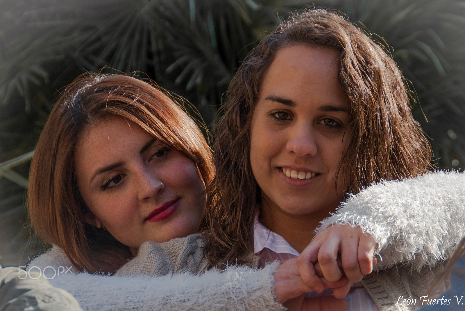 Nikon D5000 sample photo. Primas. cousins photography