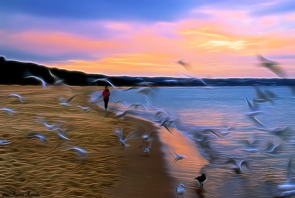 Jogging with seagulls by Ryszard Kosmala on 500px.com