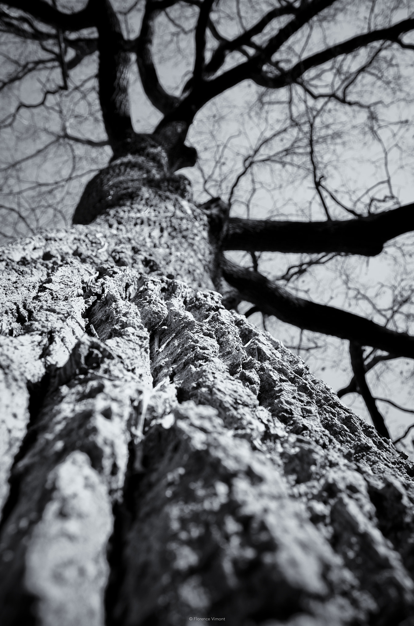 Sigma 18-200mm F3.5-6.3 II DC OS HSM sample photo. Sagesse photography