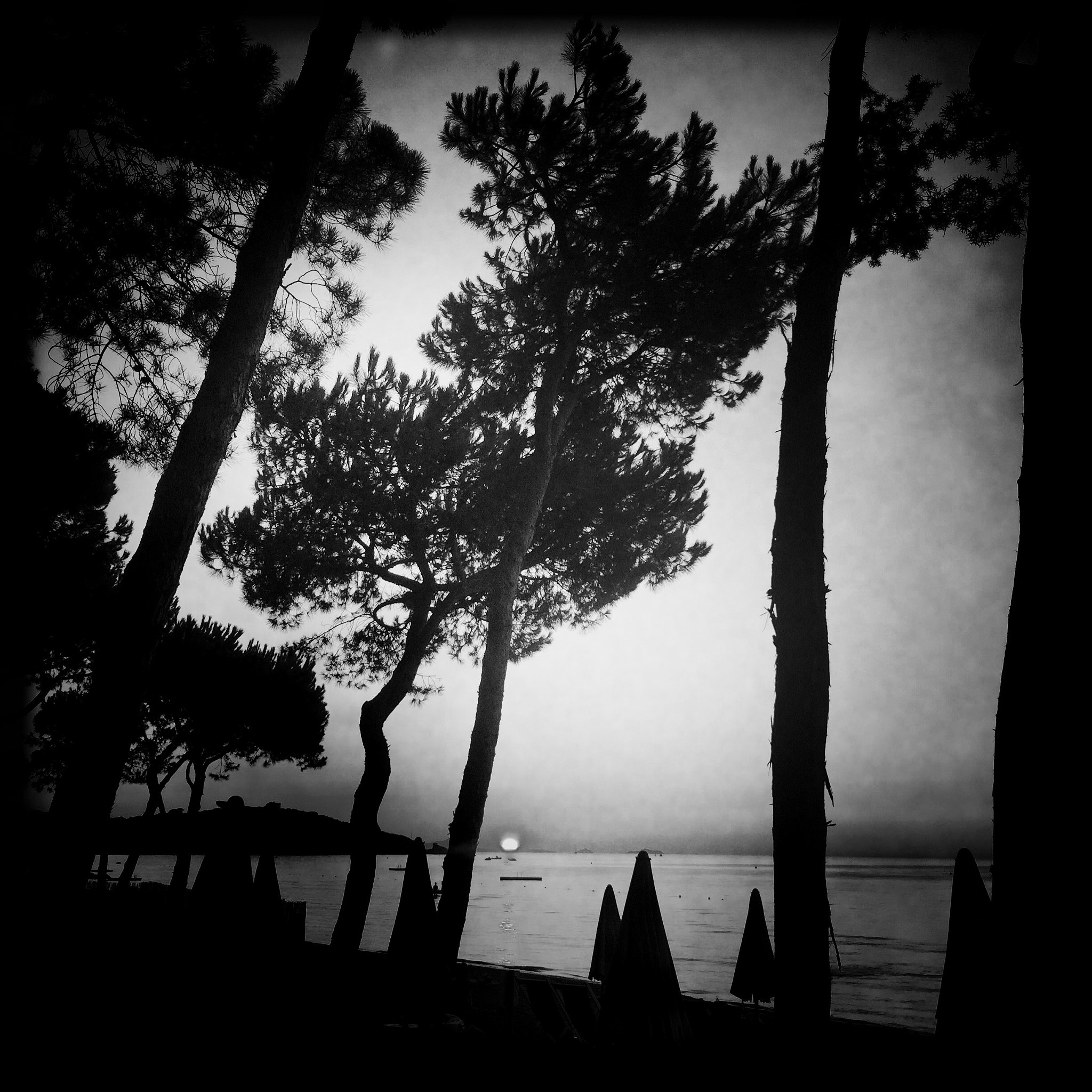 Hipstamatic 313 sample photo. Hipstamatic project #067 photography