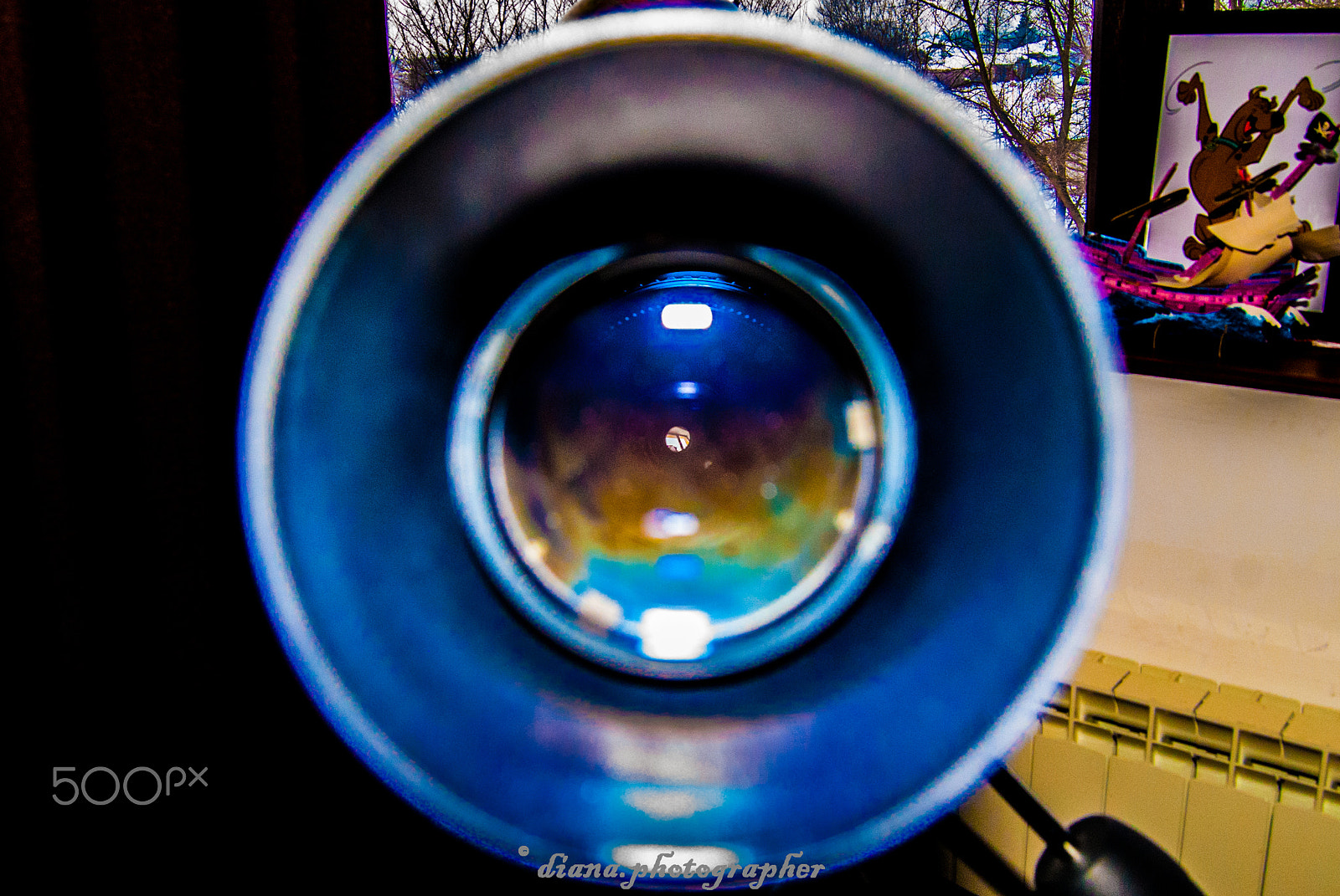 Nikon D80 sample photo. Detalii photography
