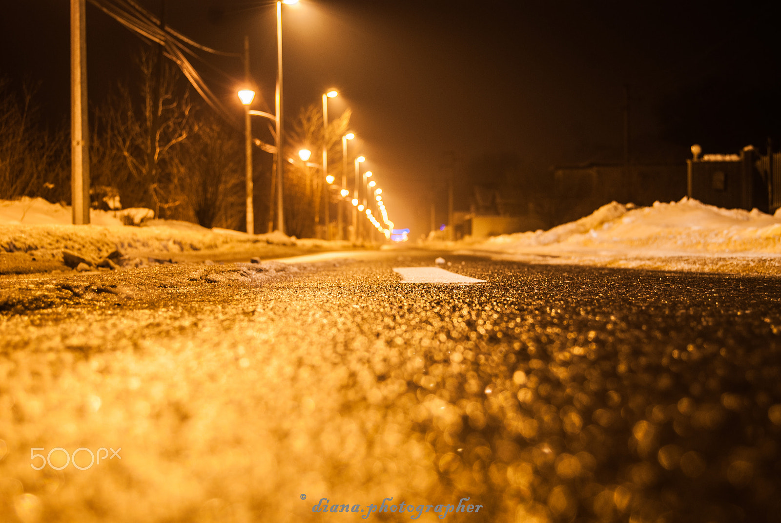 Nikon D80 sample photo. Detalii photography