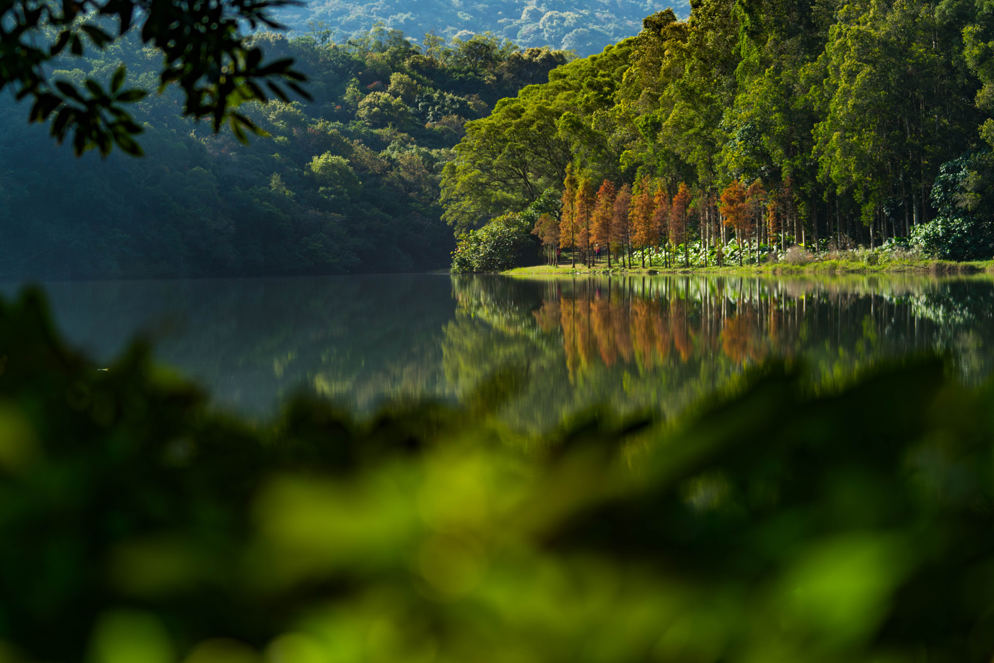 Minolta AF 80-200mm F2.8 HS-APO G sample photo. 流水響 photography