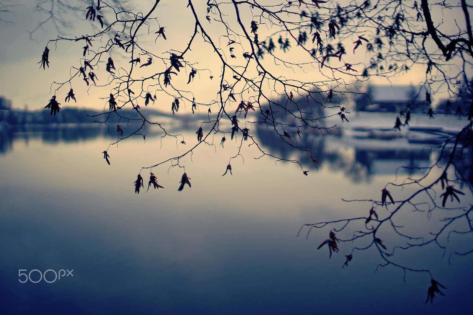 Sony a99 II + Sony 35mm F1.4 G sample photo. Lac de bret, 13-01-2017 (#3, color) photography