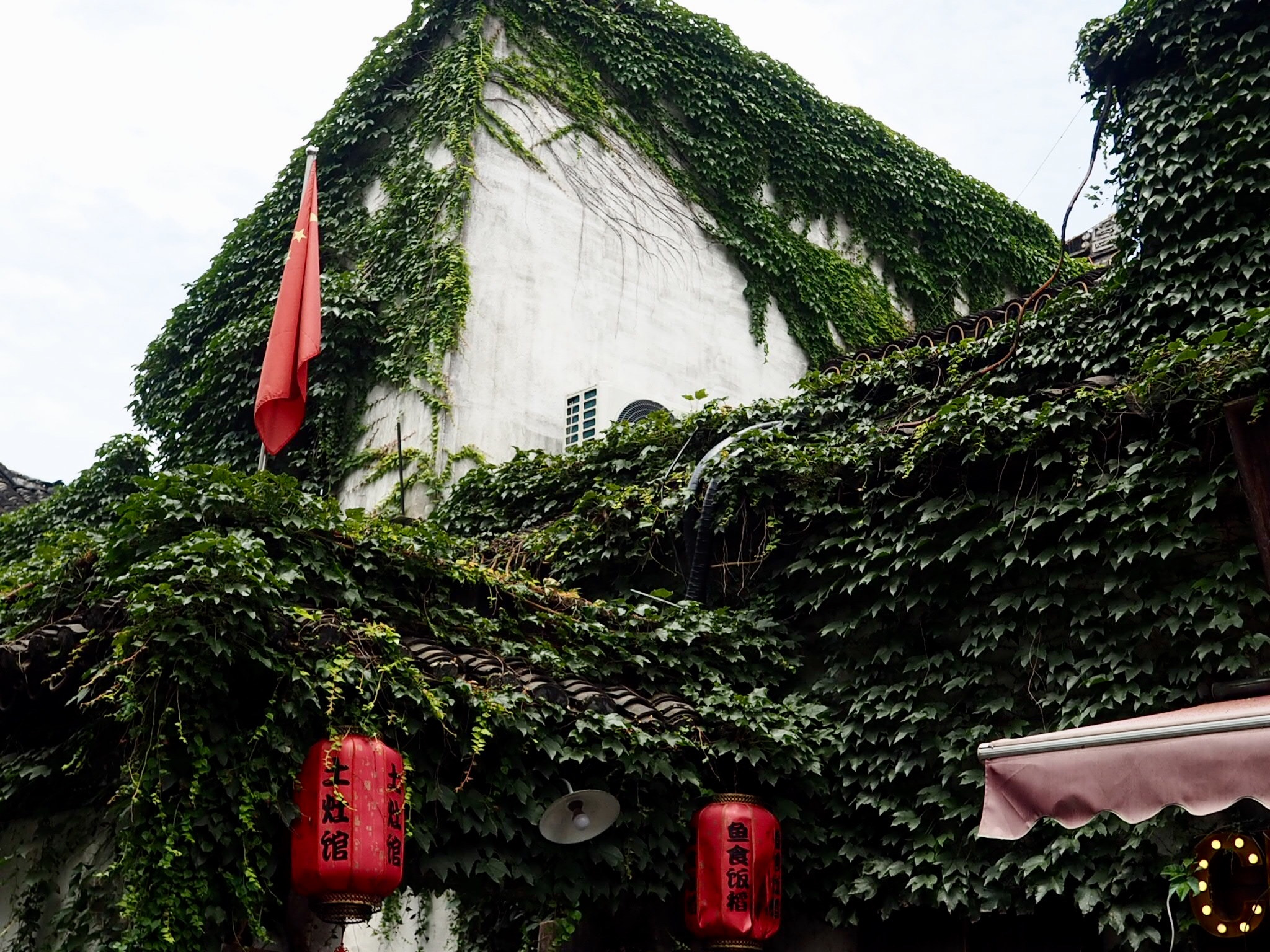 Olympus OM-D E-M10 sample photo. Vines - china photography