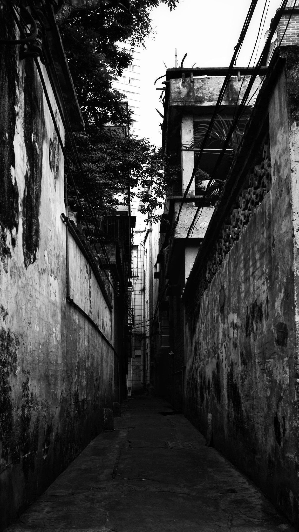 Sigma DP1x sample photo