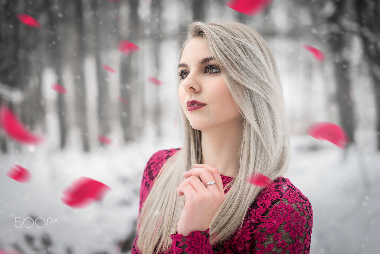 Sony a7R + Sony FE 50mm F1.8 sample photo. Marie lu photography