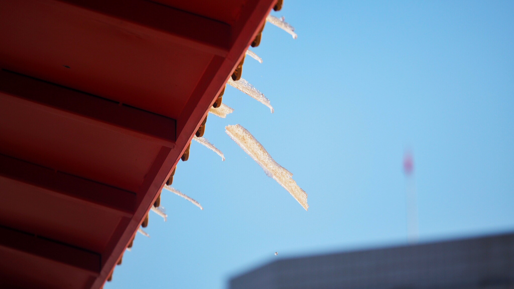 Panasonic Lumix G X Vario 35-100mm F2.8 OIS sample photo. Watch out! photography