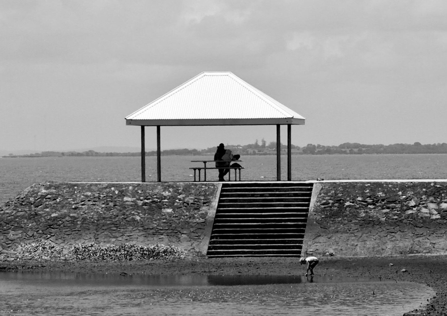 Olympus M.Zuiko Digital ED 12-40mm F2.8 Pro sample photo. Picnic pier - moreton bay, australia photography