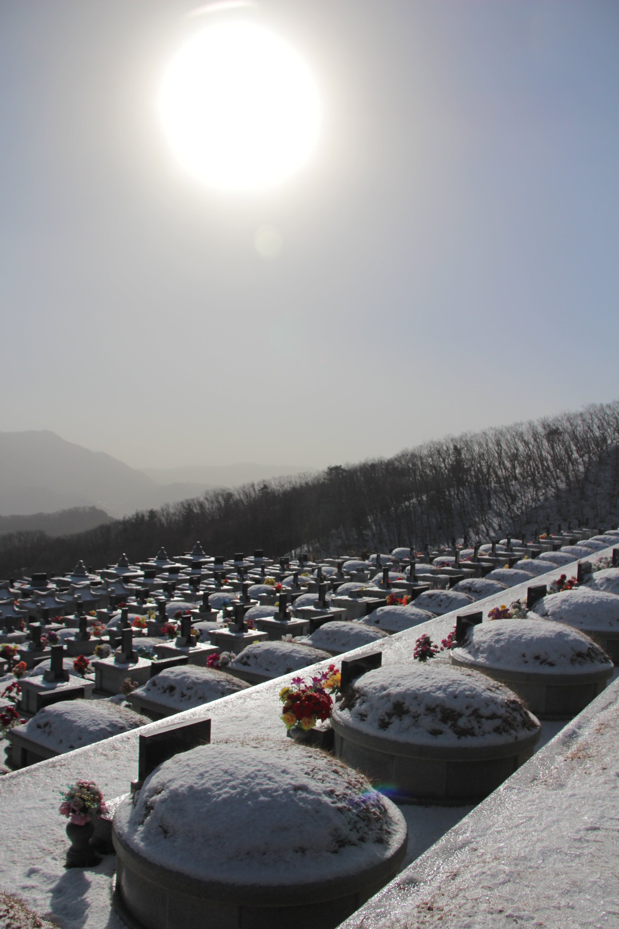Canon EF-S 18-200mm F3.5-5.6 IS sample photo. 보고픈  할머니````` photography